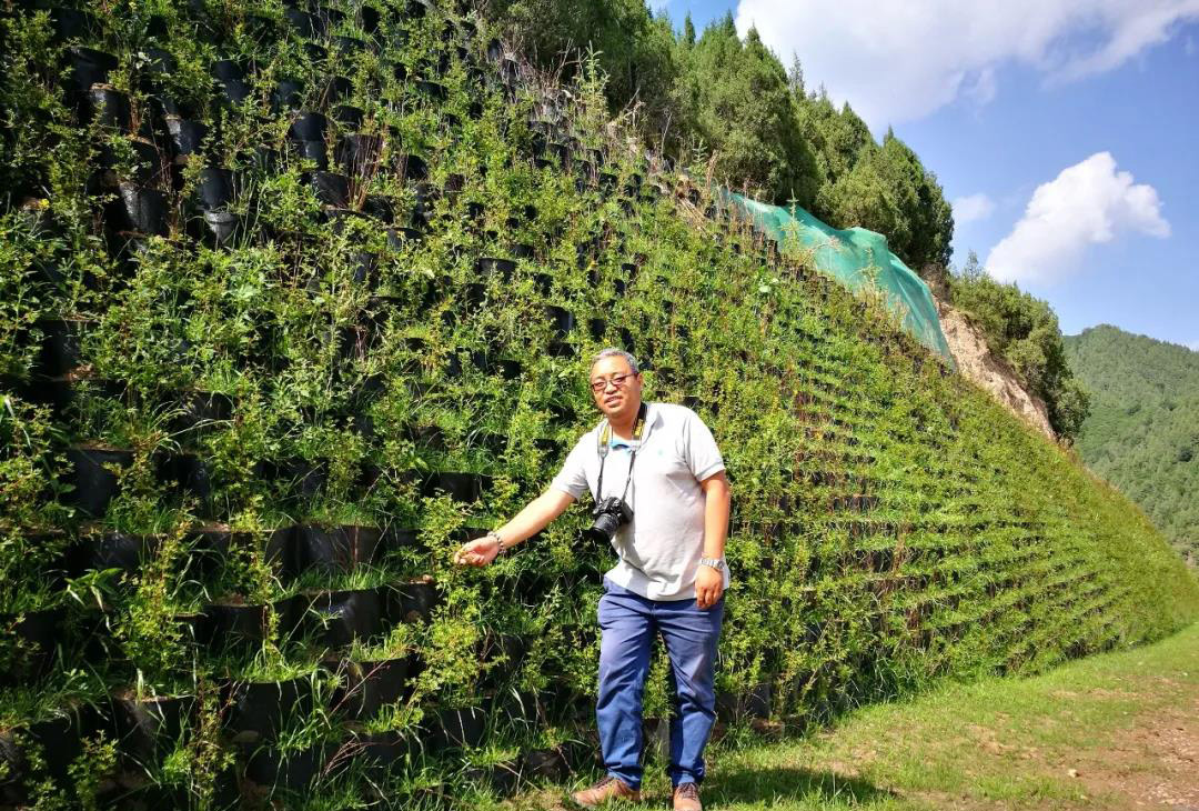 蜂巢格室手艺在边坡工程中的应用