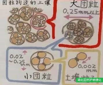 混淆纤维团粒喷播植被恢复手艺